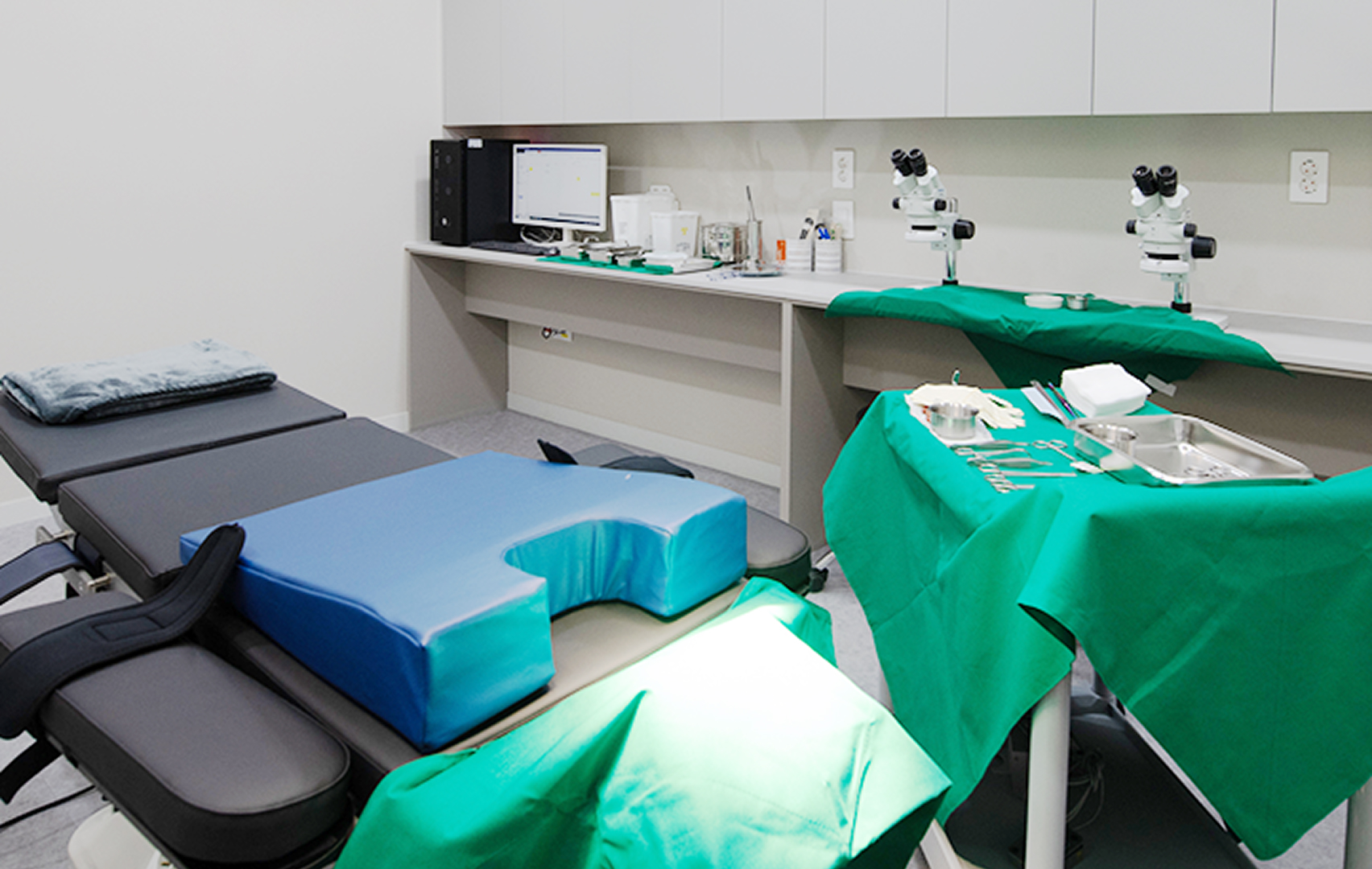 모발이식의 진행과정